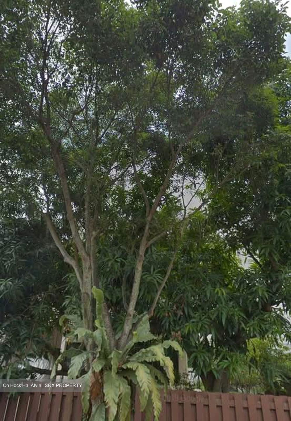 Upper Thomson Road (D20), Terrace #546978521